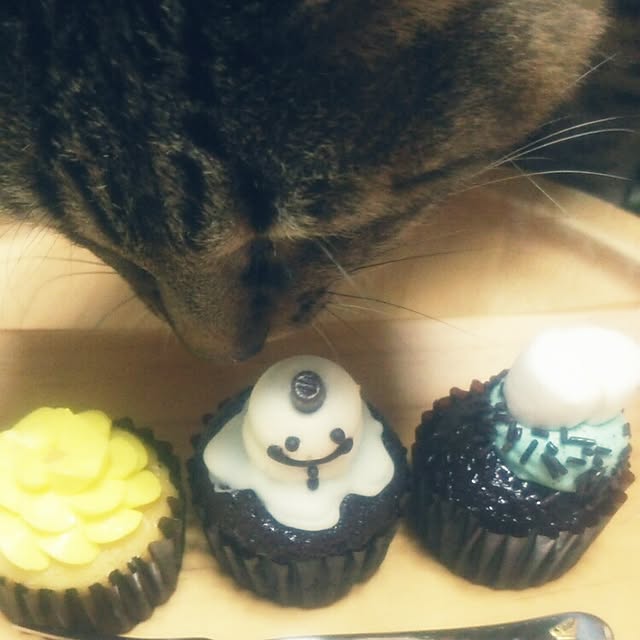 kittenblueさんの実例写真