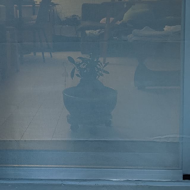 mi-saさんの部屋