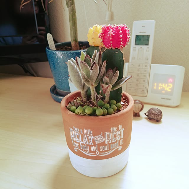 Hazukiさんの実例写真