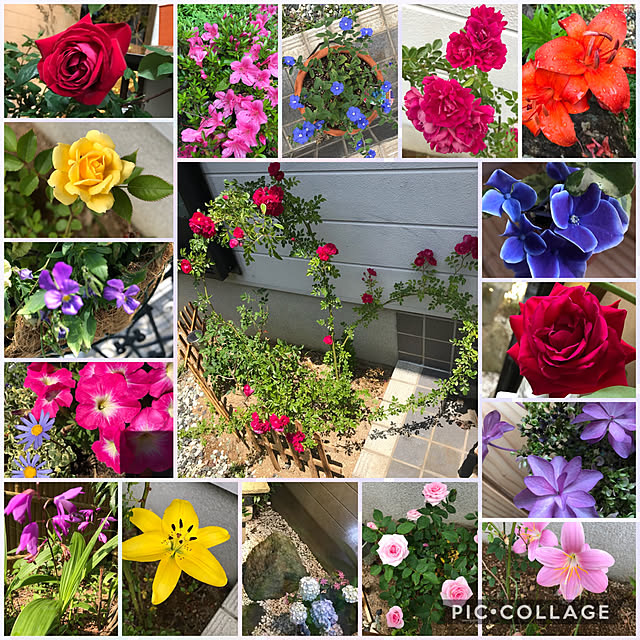 roseさんの実例写真