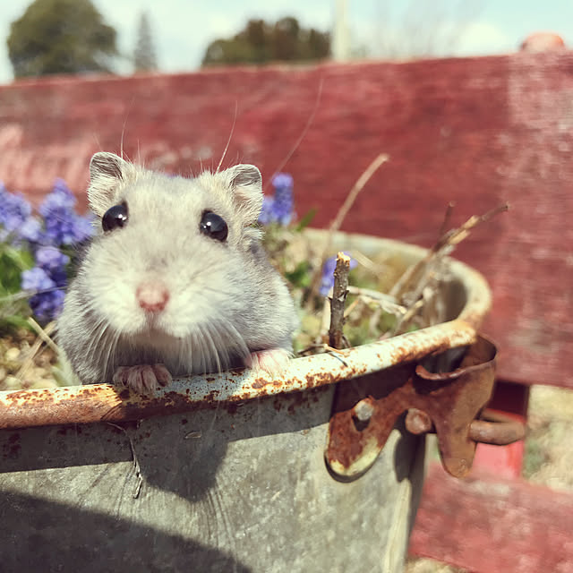 TOROさんの実例写真
