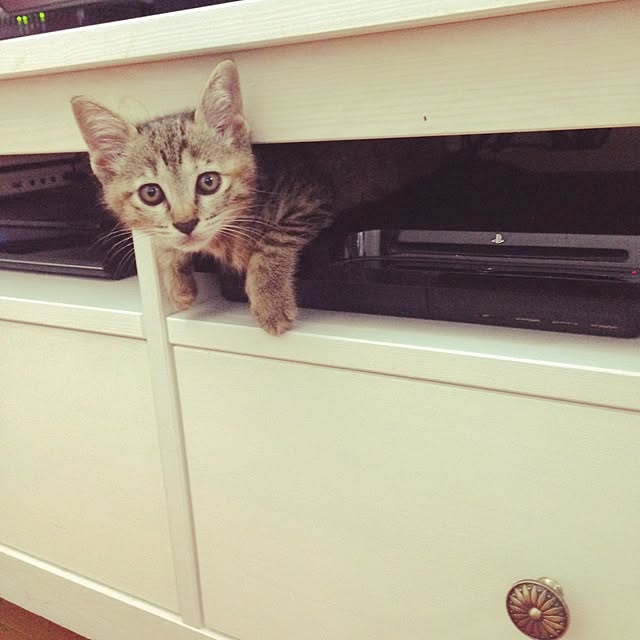 tomi329さんの実例写真
