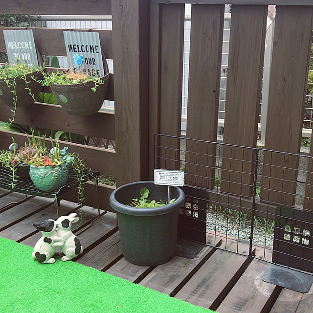 portulacaさんの実例写真