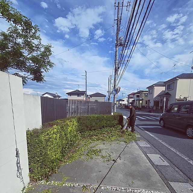 実例写真