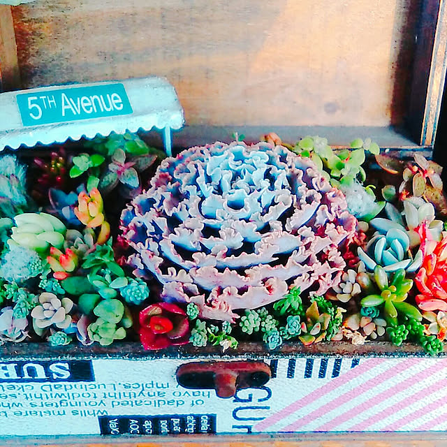 hana4504さんの実例写真