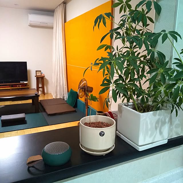 rikkyさんの実例写真