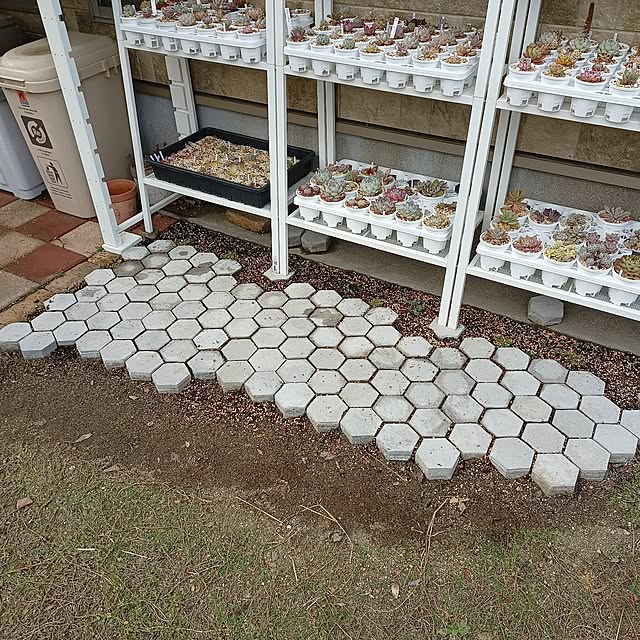 soyokoさんの実例写真