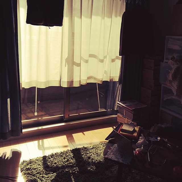 壁/天井のインテリア実例 - 2014-12-27 11:03:29