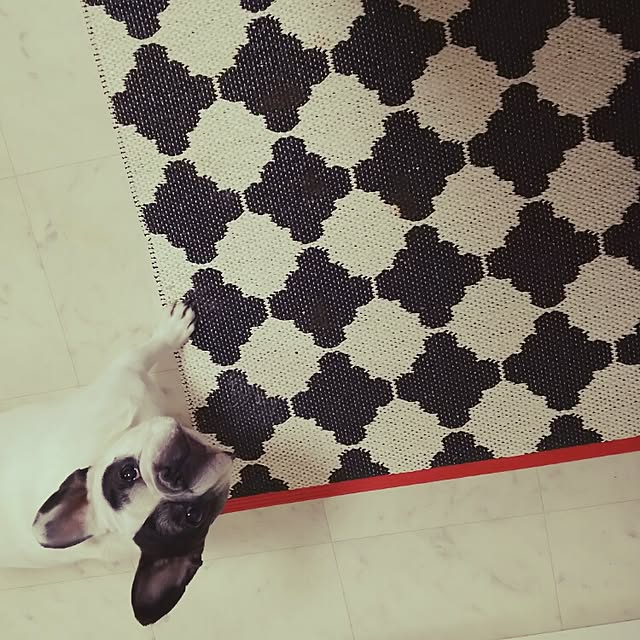 panchobiさんの実例写真