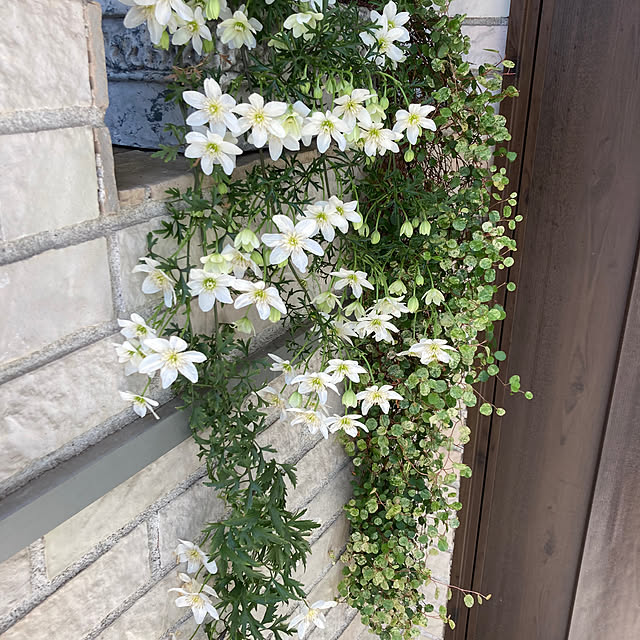 c-naさんの実例写真