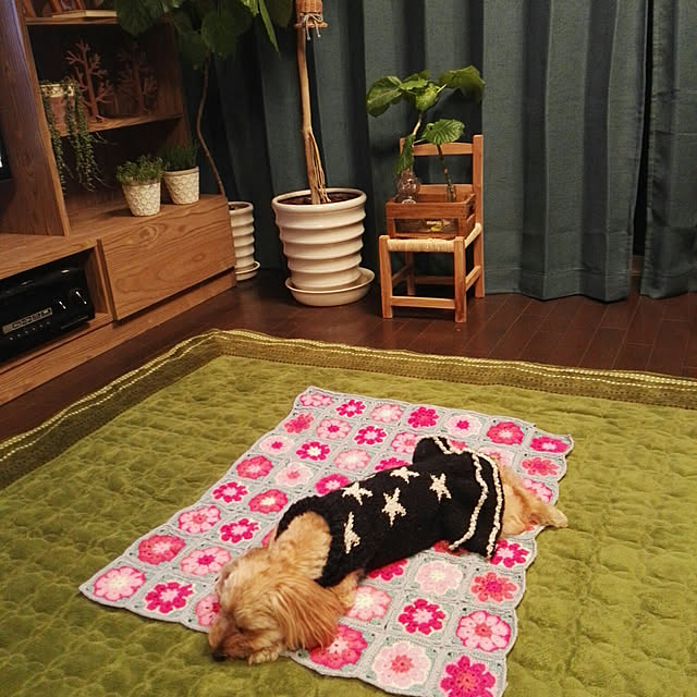 masumixさんの実例写真