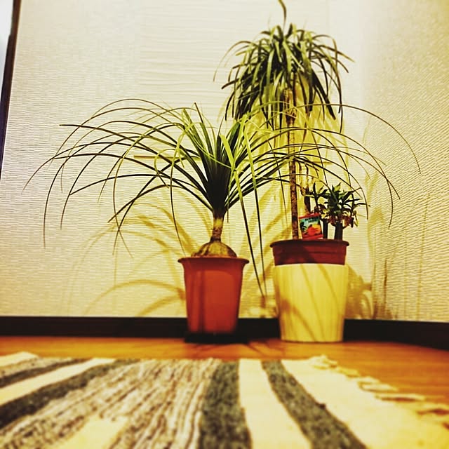 38BASEさんの実例写真