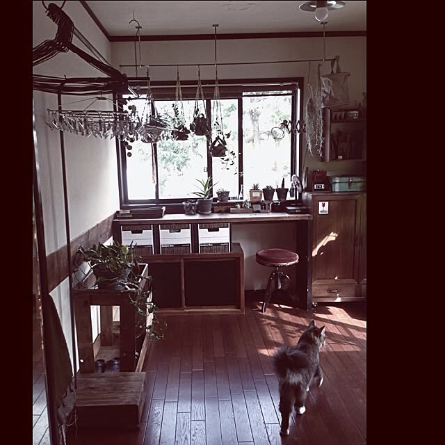 jnkaiさんの実例写真