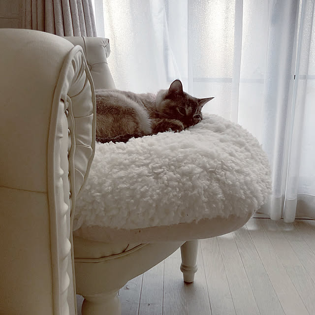 noelさんの実例写真