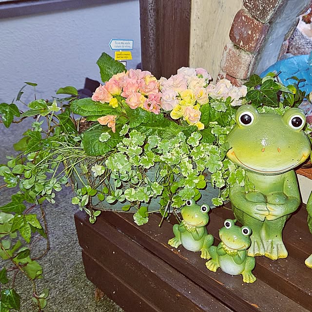 mocomocoさんの部屋