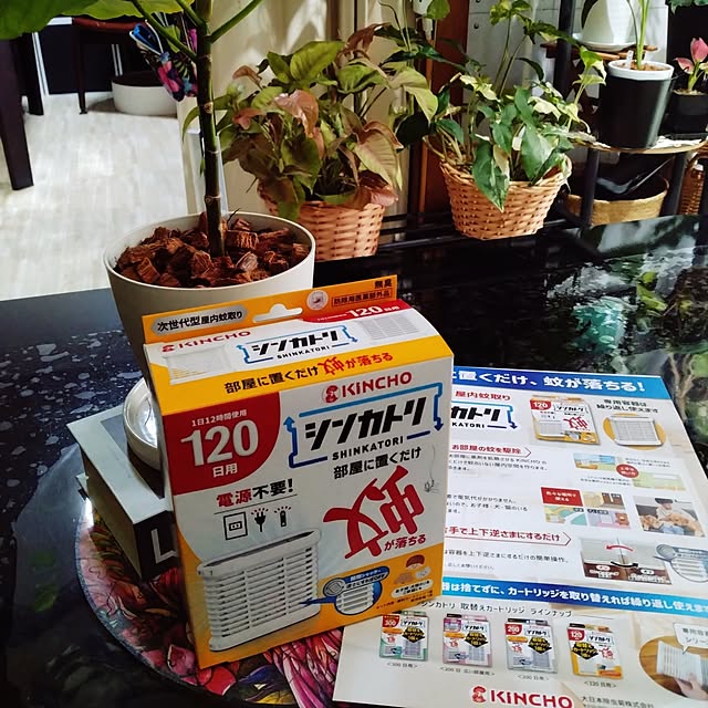 runaさんの実例写真