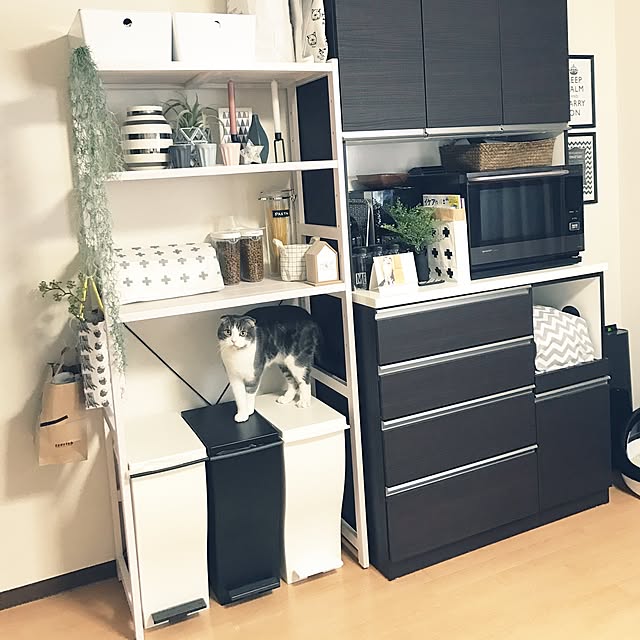 tansukeさんの実例写真