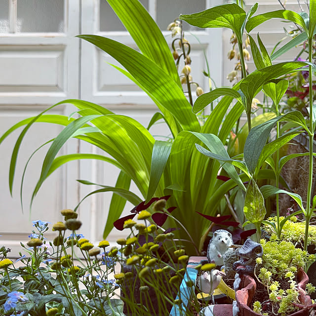 DAYONEさんの実例写真