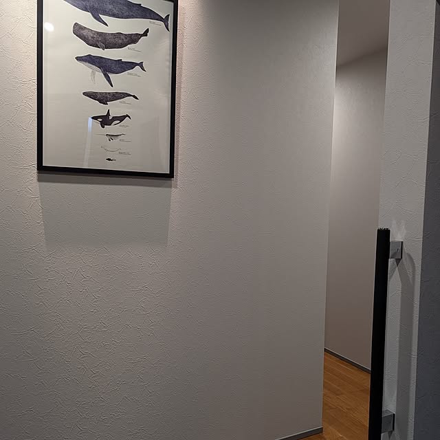 akomoさんの実例写真