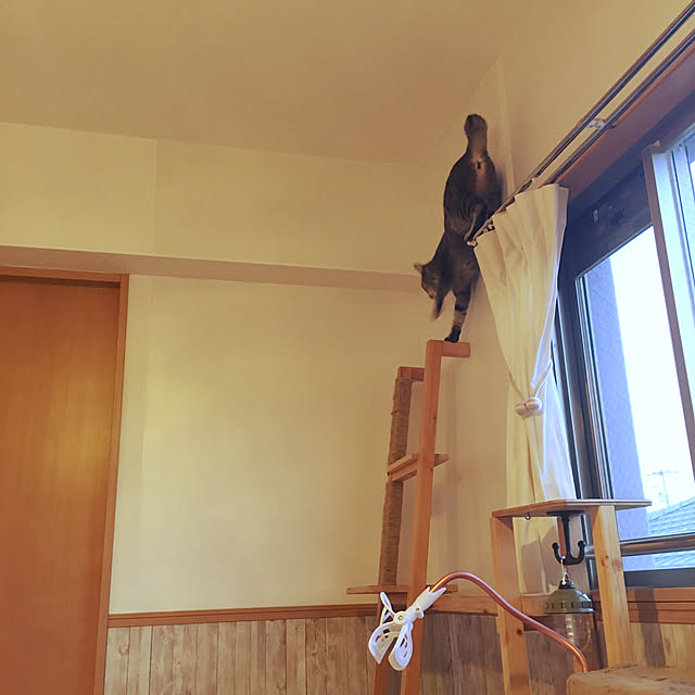 Mさんの実例写真