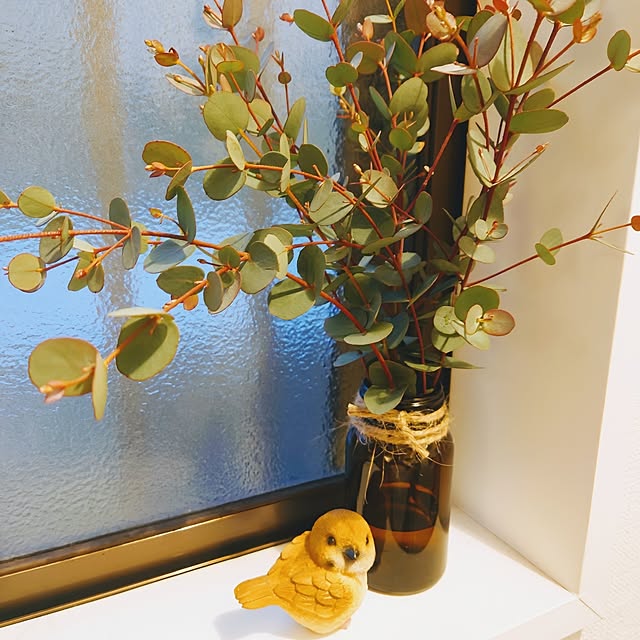 HARUNEKOさんの部屋