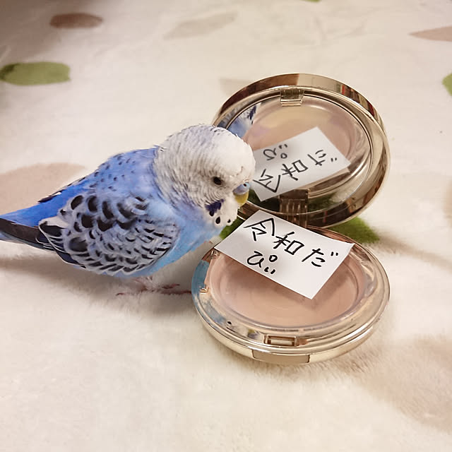 sueponさんの実例写真