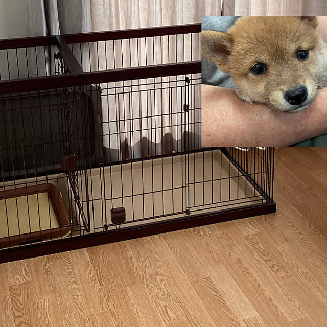 yumomitoさんの実例写真