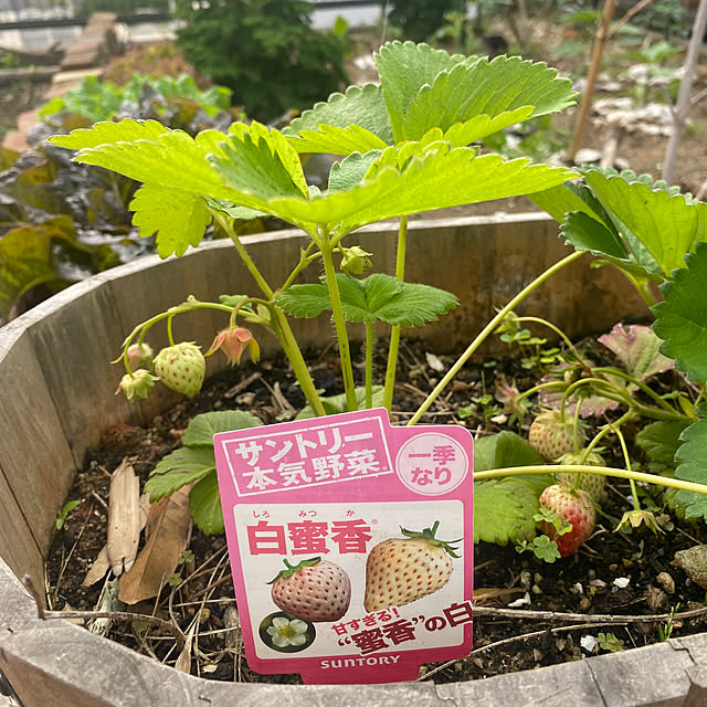 kotaroさんの部屋