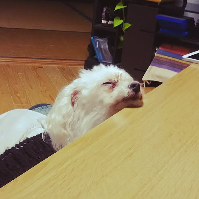 mokanaさんの実例写真