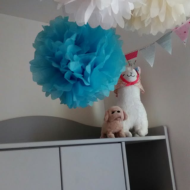memechuchu888さんの実例写真