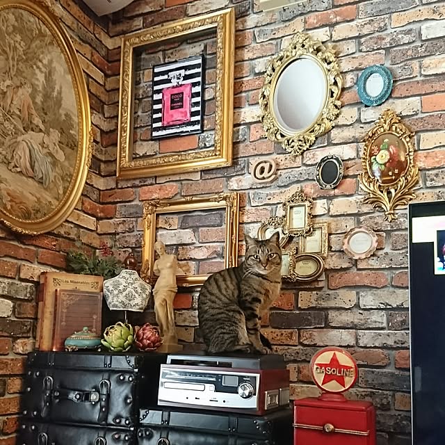 torao.jdさんの実例写真
