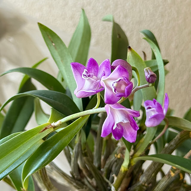 Aqettyさんの部屋