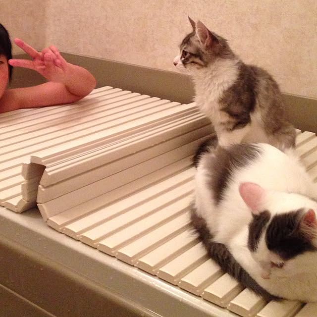 fuuさんの実例写真