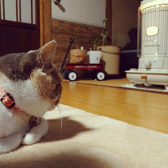 fukuさんの実例写真