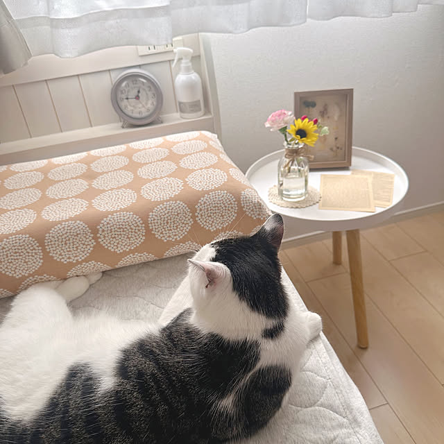 yukinoさんの部屋