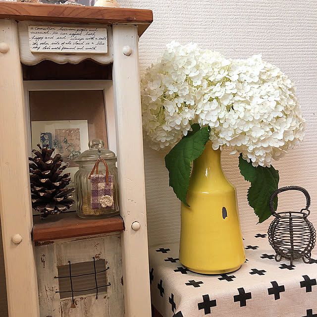 mii-tanさんの実例写真