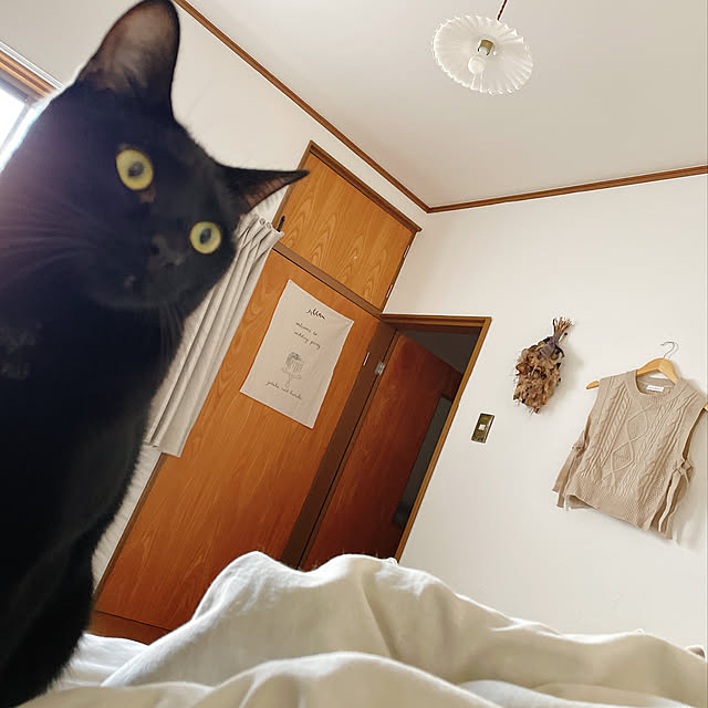 harukaさんの実例写真