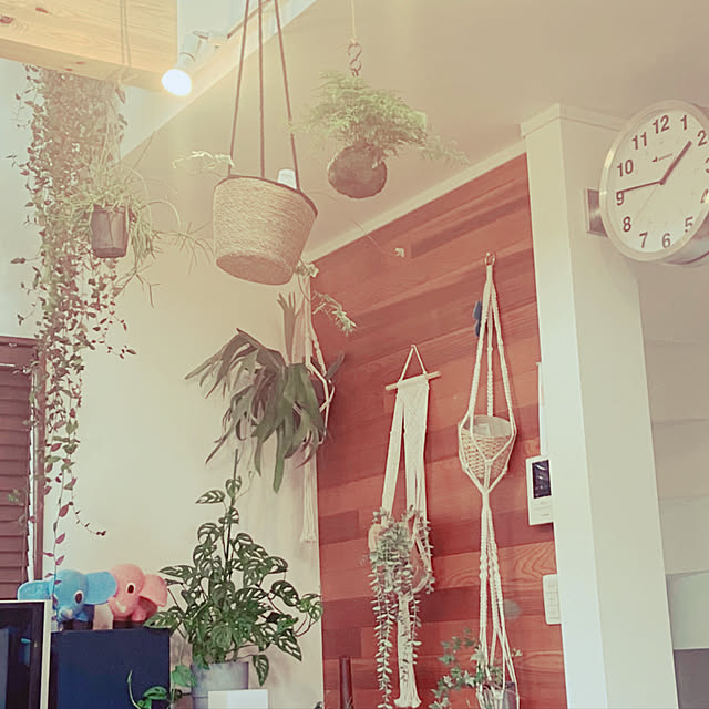 観葉植物/雑貨/リビングのインテリア実例 - 2021-07-04 13:50:31