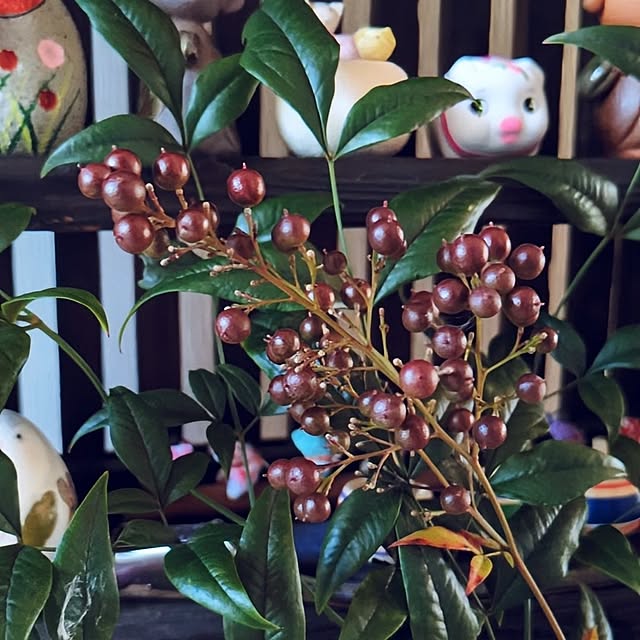 mini56さんの部屋