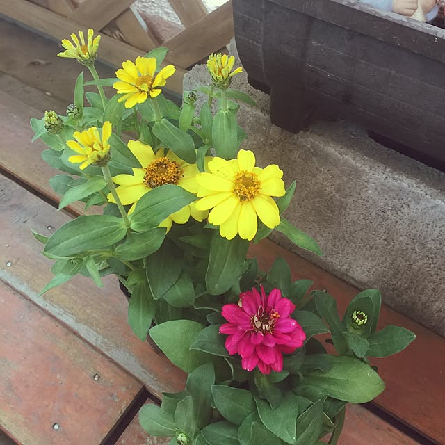 kojiro120513さんの実例写真