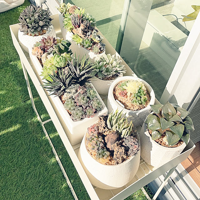 nanakoさんの部屋