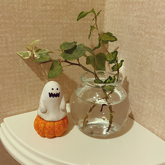 Norikoさんの実例写真