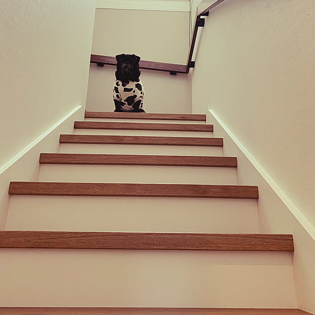 saboさんの実例写真