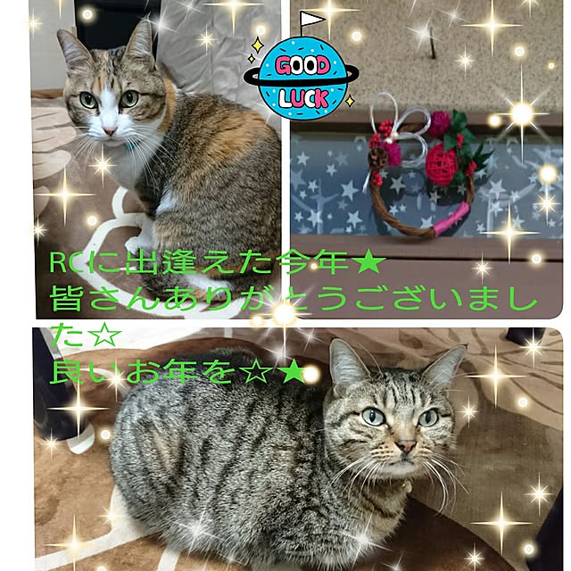 berariさんの実例写真