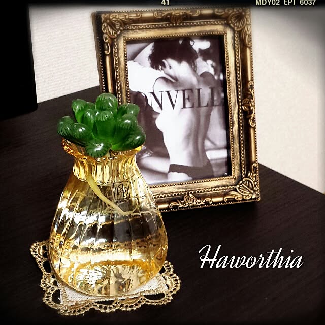 holicさんの実例写真