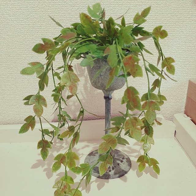 Bienvenueさんの実例写真