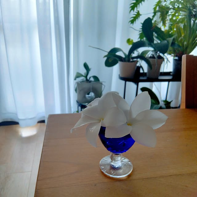 reko639さんの部屋