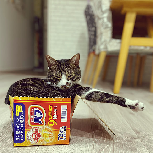 ippu0303Karinさんの実例写真
