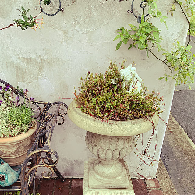 AYUKOさんの実例写真