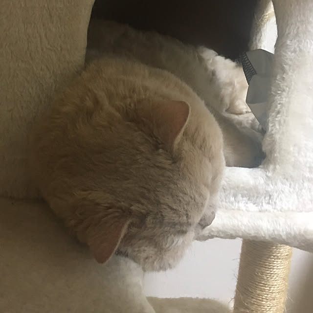 naokoさんの部屋